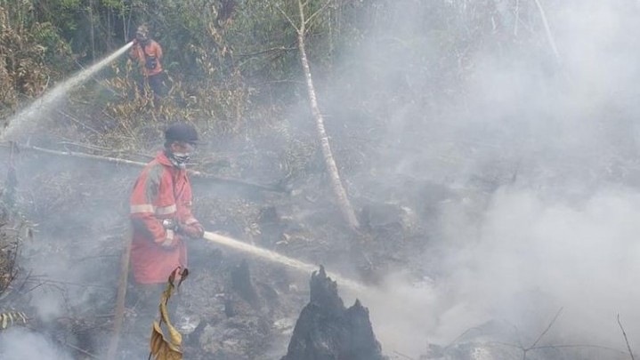 Lagi Karhutla di Riau, BPBD Yakin Bisa Segera Dipadamkan Lagi Karhutla di Riau, BPBD Yakin Bisa Segera Dipadamkan