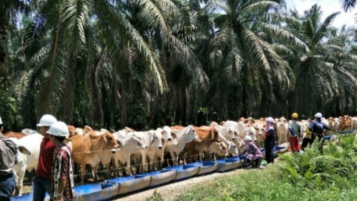 Riau akan Terapkan Program SISKA