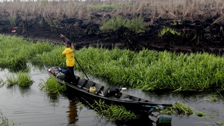Lahan Gambut Riau Terluas di Indonesia, Anggaran Pembantuan yang Didapat Malah Lebih Kecil dari Kalteng dan Kalbar
