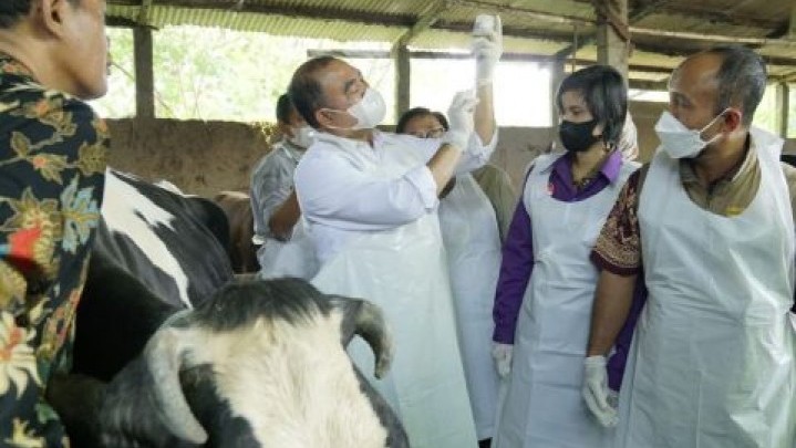 Vaksin untuk PMK Ternak di Riau akan Ditambah BNPB Vaksin untuk PMK Ternak di Riau akan Ditambah BNPB