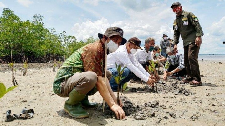 Riau Beri Sumbangan Besar Bagi Serapan Karbon Riau Beri Sumbangan Besar Bagi Serapan Karbon