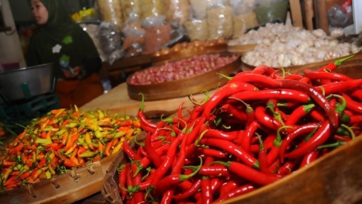 Riau Diakui Gubri Syamsuar Kekurangan Cabai Merah