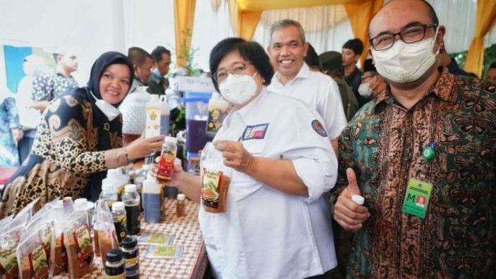 Daun Kelor UMKM Petani Kampar akan Dibantu Menteri Siti Tembus Pasar Dunia Daun Kelor UMKM Petani Kampar akan Dibantu Menteri Siti Tembus Pasar Dunia