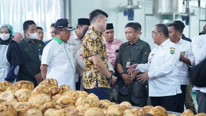 Petani Porang di Riau Kata Ketua HKTI Harus Sejahtera saat Bermitra dengan Perusahaan Petani Porang di Riau Kata Ketua HKTI Harus Sejahtera saat Bermitra dengan Perusahaan
