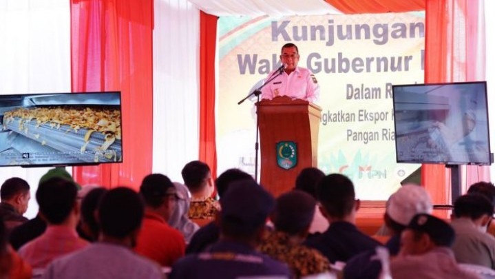 Wagubri Edy Natar Yakinkan Petani Potensi Porang Wagubri Edy Natar Yakinkan Petani Potensi Porang