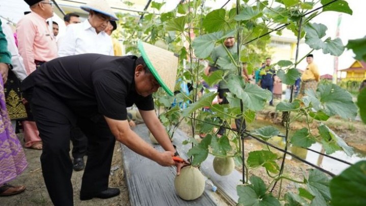 Wagubri Ajak Masyarakat Olah Lahan Tidur untuk Bertani Sayur dan Buah