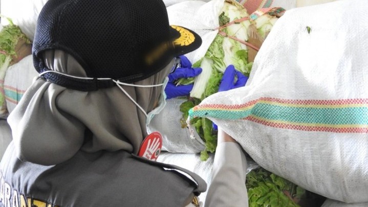 Pengiriman Sayur dari Batam Ditolak Balai Karantina Pertanian Kelas II Tanjungpinang Pengiriman Sayur dari Batam Ditolak Balai Karantina Pertanian Kelas II Tanjungpinang