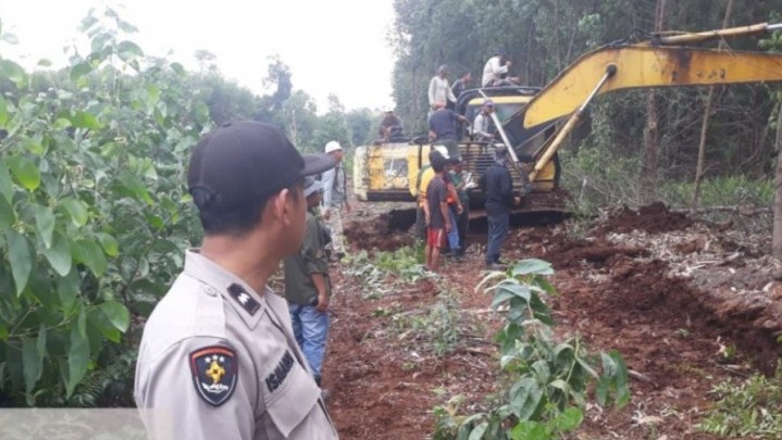 Harimau Sumatera Terkam Karyawan PT Peranap Timber Hingga Tewas, Berikut Penjelasan Polisi