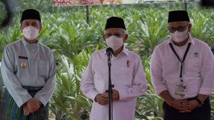 Program Santripreneur Berbasis Kelapa Sawit di Riau, Ini Respon Wapres Ma'aruf Amin