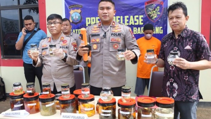 Penyelundup Ribuan Biota Laut Dilindungi Diringkus Polairud Polresta Barelang Penyelundup Ribuan Biota Laut Dilindungi Diringkus Polairud Polresta Barelang