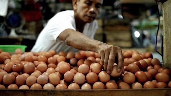 Harga Telur Dua Pekan Lagi Dijanjikan Turun Harga Telur Dua Pekan Lagi Dijanjikan Turun