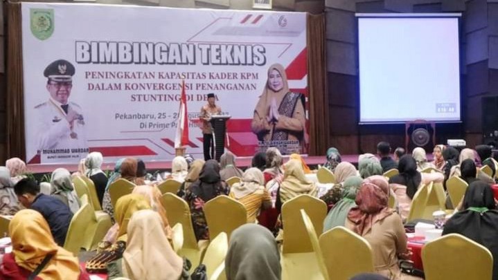 Pemkab Inhil Perkuat Kapasitas Kader Penanggulangan Stunting