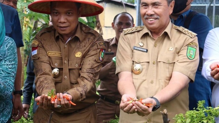 Pekanbaru akan Budidayakan Cabai di Setiap Kecamatan