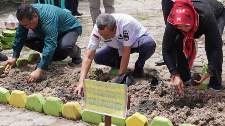 Di Kota Dumai, Disosialisasikan Gerakan Menanam Cabai Di Kota Dumai, Disosialisasikan Gerakan Menanam Cabai