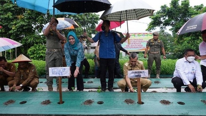 Gubri Harapkan Masyarakat Sumbagsel di Riau Ikut Tanam Cabai