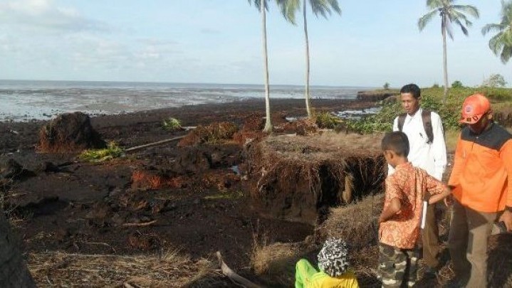 Mengkhawatirkan, Abrasi di Bengkalis Capai 137 Kilometer, Terpanjang di Indonesia