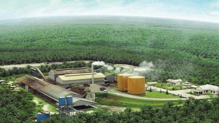 Dari 396 Perusahaan Sawit di Riau, hanya 121 yang Bersertifikasi ISPO Dari 396 Perusahaan Sawit di Riau, hanya 121 yang Bersertifikasi ISPO