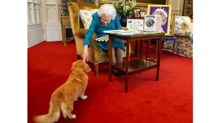 Bagaimana Nasib 4 Anjing Kesayangan Ratu Ratu Elizabeth II? Bagaimana Nasib 4 Anjing Kesayangan Ratu Ratu Elizabeth II?