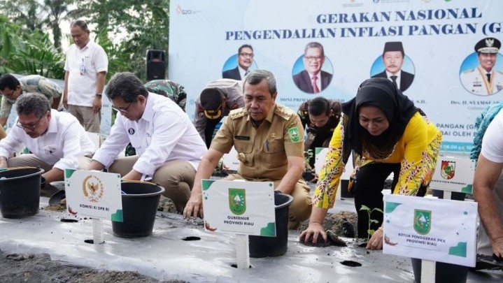 Digerakkan 200 BUMDes Maju di Riau, Program Budidaya Cabai Diluncurkan Digerakkan 200 BUMDes Maju di Riau, Program Budidaya Cabai Diluncurkan