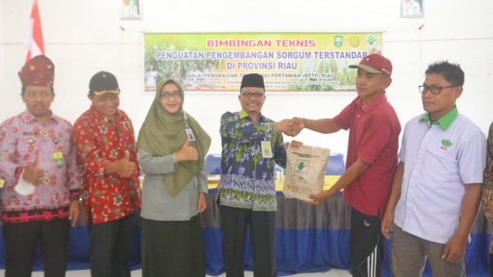 Ini Daerah di Riau Fokus Pengembangan Sorgum Ini Daerah di Riau Fokus Pengembangan Sorgum
