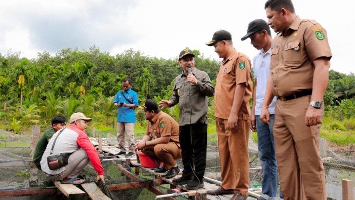 Kelompok Usaha Tuai Emas Rasakan Manfaat Program Desa BERMASA Kelompok Usaha Tuai Emas Rasakan Manfaat Program Desa BERMASA