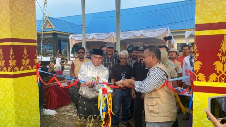 Ada Kontes Bonsai Nasional di Pekanbaru hingga Besok, 551 Koleksi Unik Dipamerkan