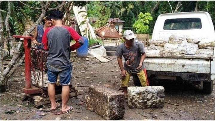 Sepekan Ini Harga Karet di Riau Naik Sepekan Ini Harga Karet di Riau Naik