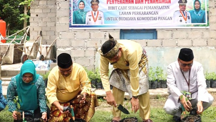 Tekan Inflasi, Pemprov Kepri Perluas Lahan Cabai Hingga 160 Hektare Tekan Inflasi, Pemprov Kepri Perluas Lahan Cabai Hingga 160 Hektare