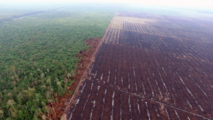 Banyak Tumpang Tindih Kawasan Hutan, Gubri Undang Menteri ATR ke Riau