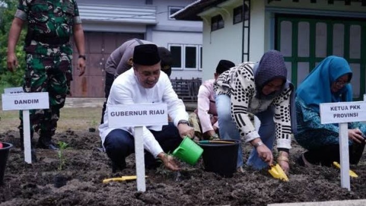 Perbanyak Bibit Cabai Jadi Tugas Penting Dinas Ketahanan Pangan Bengkalis Saat Ini