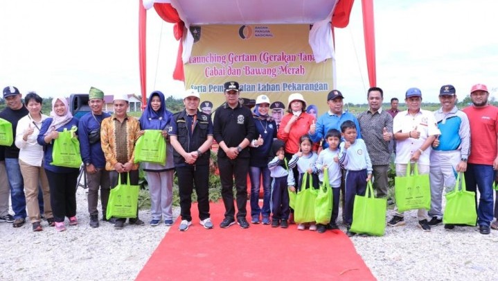 Gertam Cabai dan Bawang di Pekanbaru, Disketapang Klaim Sudah Tanam Hampir 30 Hektar Gertam Cabai dan Bawang di Pekanbaru, Disketapang Klaim Sudah Tanam Hampir 30 Hektar