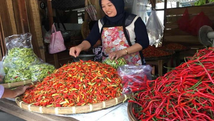 Kadisperindag Pekanbaru Sebut Kenaikan Harga Cabai Merah Belum Signifikan Kadisperindag Pekanbaru Sebut Kenaikan Harga Cabai Merah Belum Signifikan
