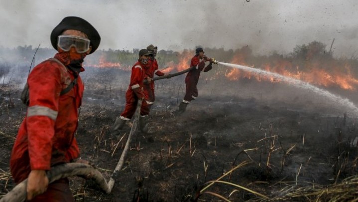 Di Rambah Samo Rohul Terjadi Karhutla, Pemadaman Melalui Darat dan Udara Di Rambah Samo Rohul Terjadi Karhutla, Pemadaman Melalui Darat dan Udara
