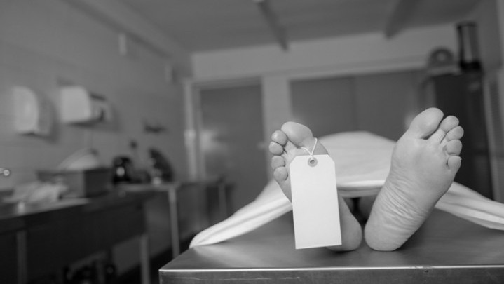 Mayat Laki-laki Ditemukan Mengapung di Batang Musang Pelambayang Agam