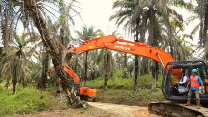 Gubri Syamsuar Dorong Pemilik Kebun Sawit yang Sudah Tua Segera Diremajakan
