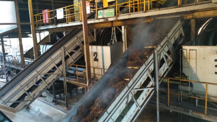 Disbun Riau Beri Penjelasan Naiknya Harga Minyak Sawit Mentah Disbun Riau Beri Penjelasan Naiknya Harga Minyak Sawit Mentah