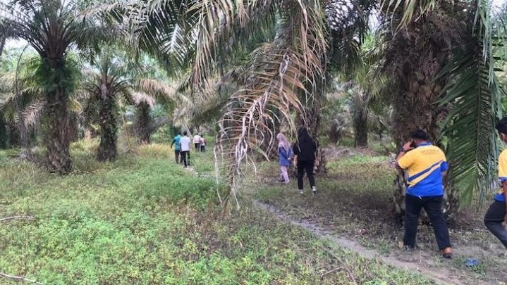 KPK Lelang Bidang Tanah Hasil Rampasan Koruptor di Riau KPK Lelang Bidang Tanah Hasil Rampasan Koruptor di Riau