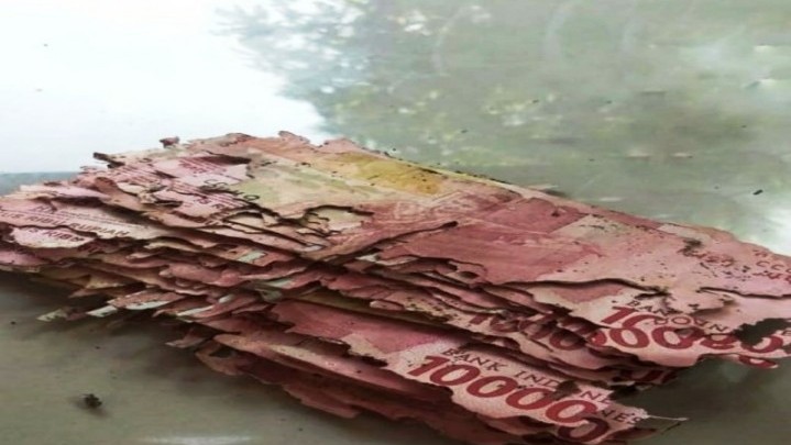 Uang ASN Madiun Dimakan Rayap hingga Rp35 Juta Uang ASN Madiun Dimakan Rayap hingga Rp35 Juta