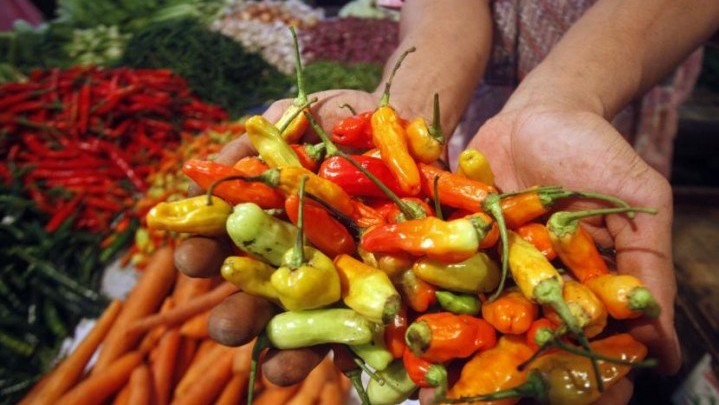 Ini Info Harga Cabai di Pekanbaru Akhir Pekan Ini Info Harga Cabai di Pekanbaru Akhir Pekan