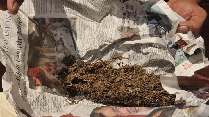 BNNK Solok Amankan Ganja dan Sabu dari Kuansing Riau BNNK Solok Amankan Ganja dan Sabu dari Kuansing Riau