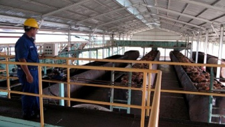 Seperti Ini Penjelasan Disbun Riau Naiknya Harga Minyak Sawit Mentah Seperti Ini Penjelasan Disbun Riau Naiknya Harga Minyak Sawit Mentah