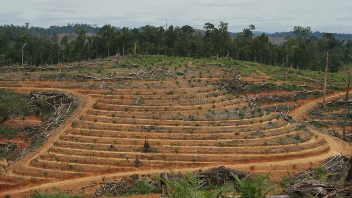 Belum Ada Kesepakatan Sengketa Lahan PT EDI dengan Suku Maharajo Rohul Belum Ada Kesepakatan Sengketa Lahan PT EDI dengan Suku Maharajo Rohul
