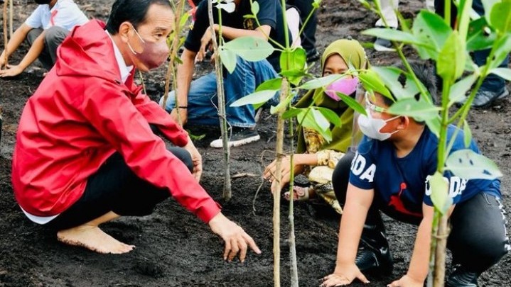 Usai 2024, Golkar Setuju Jokowi Balik ke Solo