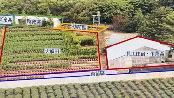 Penemuan Ladang Ganja Terbesar, Taiwan Mendakwa 6 Pekerja Ilegal Asal Indonesia