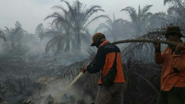 Siaga Darurat Karhutla di Riau Dicabut Siaga Darurat Karhutla di Riau Dicabut