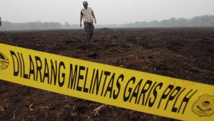 Gakkum Proses 13 Tersangka Selama Siaga Karhutla Riau