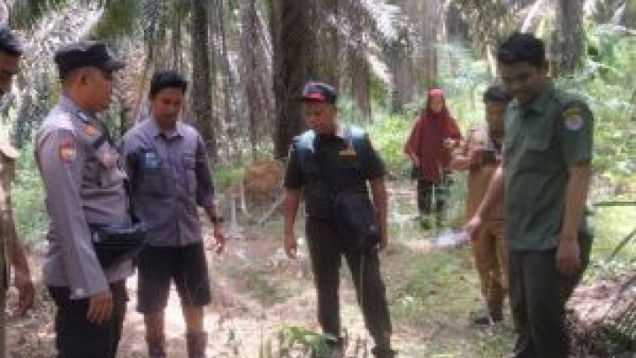 BKSDA Riau Lakukan Mitigasi Usai Dapat Laporan Hewan Ternak Diduga Dimangsa Harimau