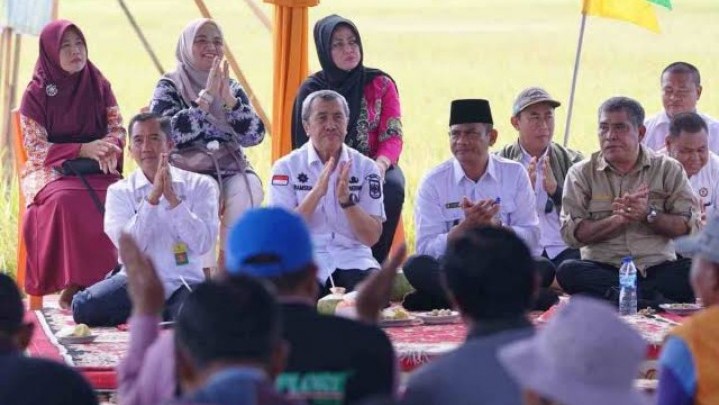 Setahun Gubri Ingin Lahan Sawah di Riau Tiga Kali Panen Setahun Gubri Ingin Lahan Sawah di Riau Tiga Kali Panen