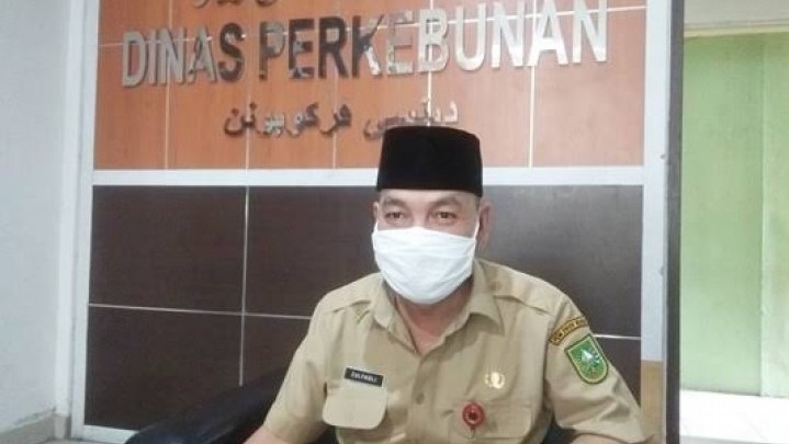 Harga Pinang Sepekan ke Depan di Riau Turun Jadi Rp8.988