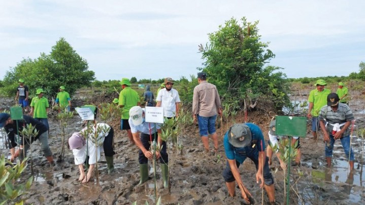 BRGM Ajak Bersinergi Rehabilitasi Mengrove Riau BRGM Ajak Bersinergi Rehabilitasi Mengrove Riau